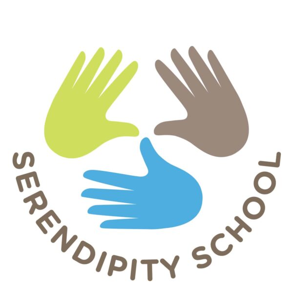 Serendipity School